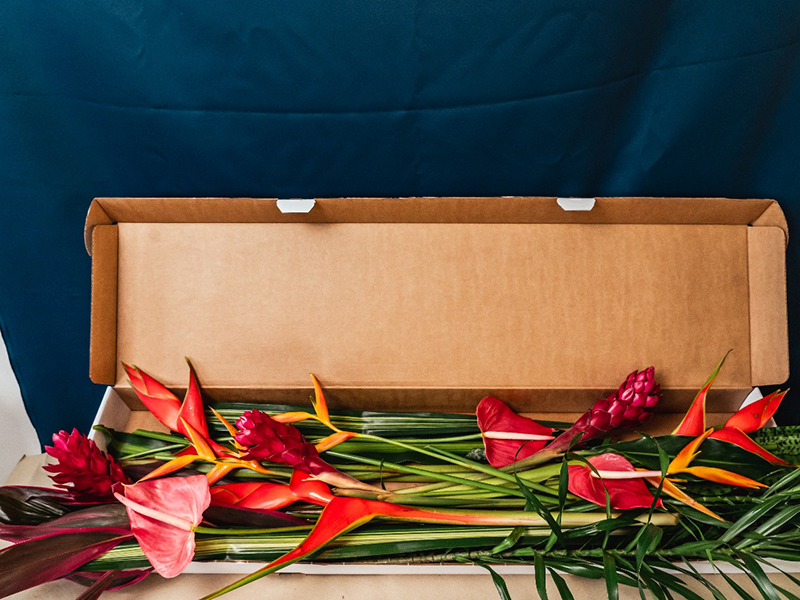 3 Bouquets à partager "CARNAVAL" - Voyage en Soute – Image 14