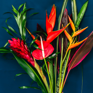 3 Bouquets à partager « CARNAVAL » – Voyage en Cabine