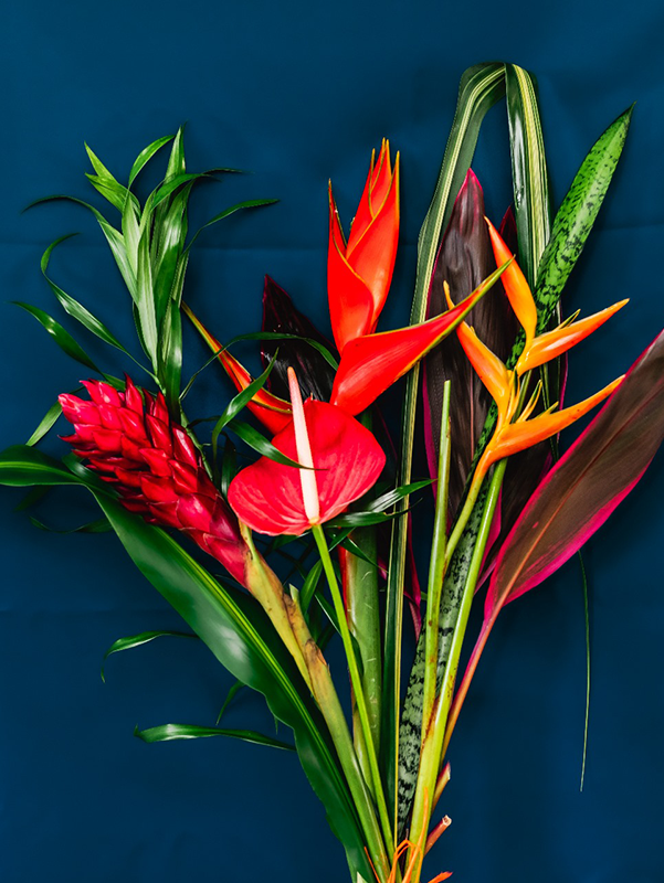 3 Bouquets à partager "CARNAVAL" - Voyage en Soute