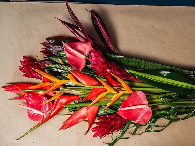 3 Bouquets à partager "CARNAVAL" - Voyage en Soute – Image 13