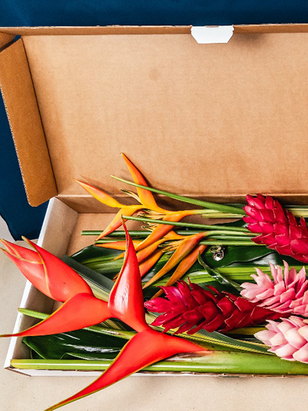 Fleurs Locales "TROPICAL" - Voyage en Soute