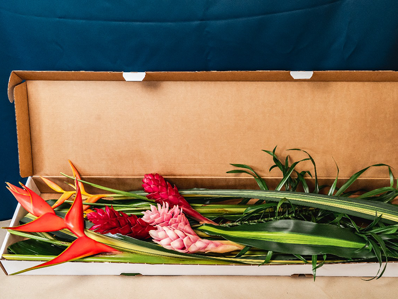 Fleurs Locales "TROPICAL" - Voyage en Soute – Image 14