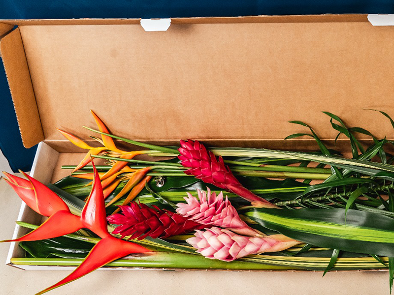 Fleurs Locales "TROPICAL" - Voyage en Soute – Image 13