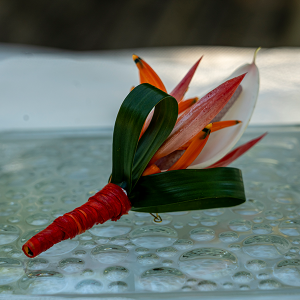 Pack Bouquets « MAYE EN NOU »