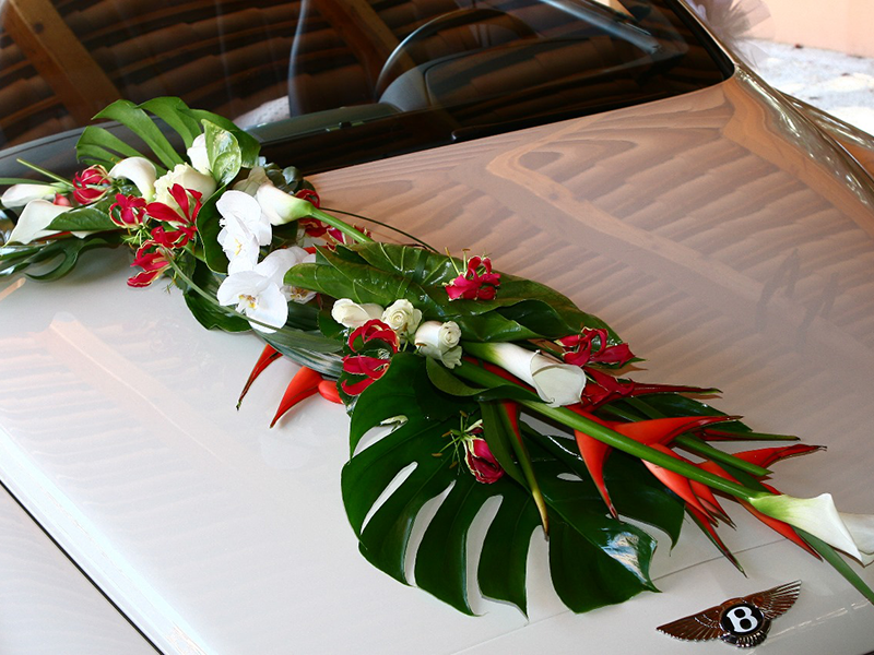 Pack Voiture "BEL LOTO" – Image 7