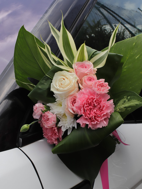 Pack Voiture "BEL LOTO" – Image 8