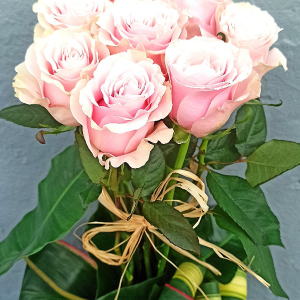 Roses du dernier « ADIEU »