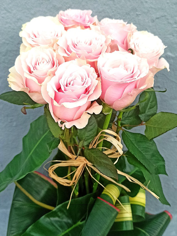 Roses du dernier "ADIEU" – Image 2