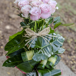 Roses du dernier « ADIEU »