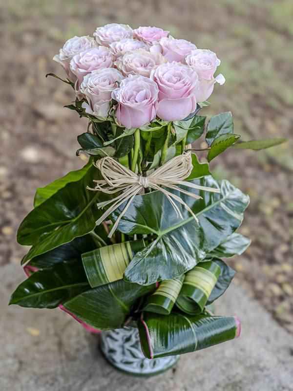 Roses du dernier "ADIEU"