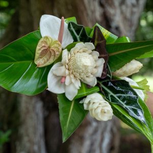 NATURE CHIC
