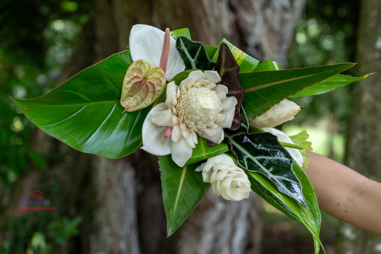 NATURE CHIC – Image 2