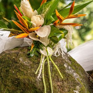 OISEAU DE PARADIS