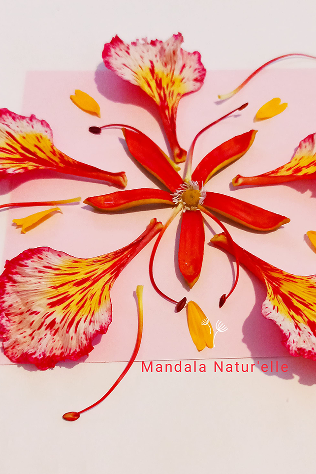 Atelier Fleur Martinique