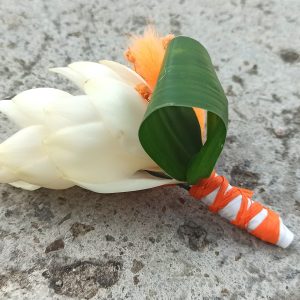 TROPIC BLANC