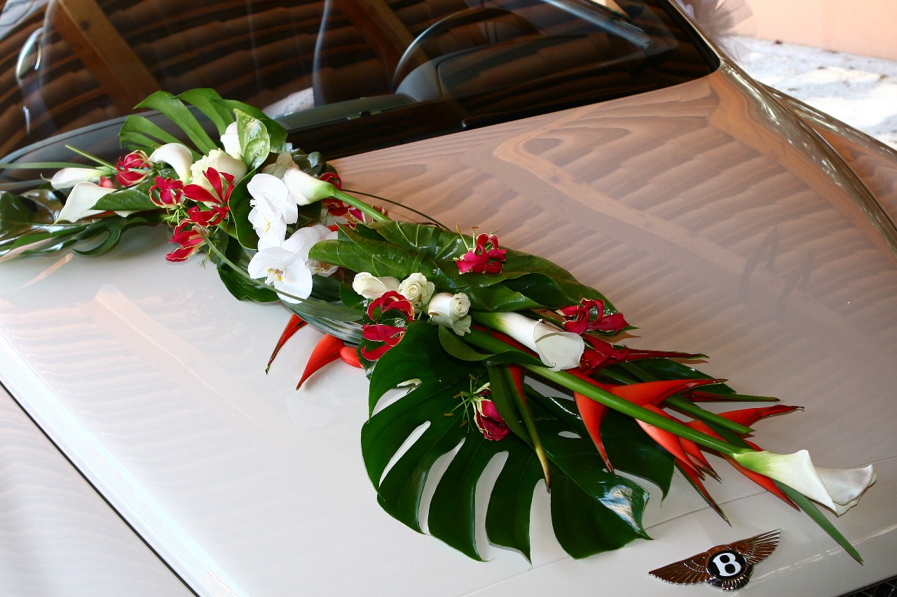 Modèle Fleur Voiture "ALLONGE FIN" – Image 2