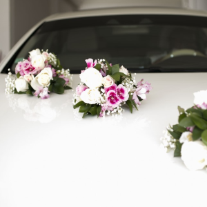 Modèle Fleur Voiture « TRIO »