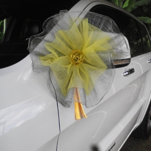 Accessoires de voiture POMPON DE TULLE