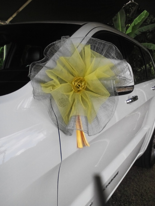 Accessoires de voiture POMPON DE TULLE